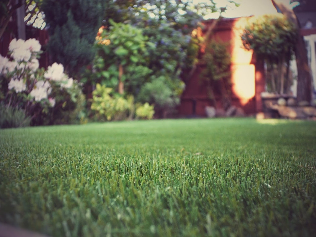 For Reference purposes only - Photo credits: www.perfectgrassltd.co.uk