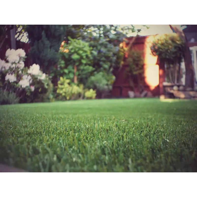 For Reference purposes only - Photo credits: www.perfectgrassltd.co.uk