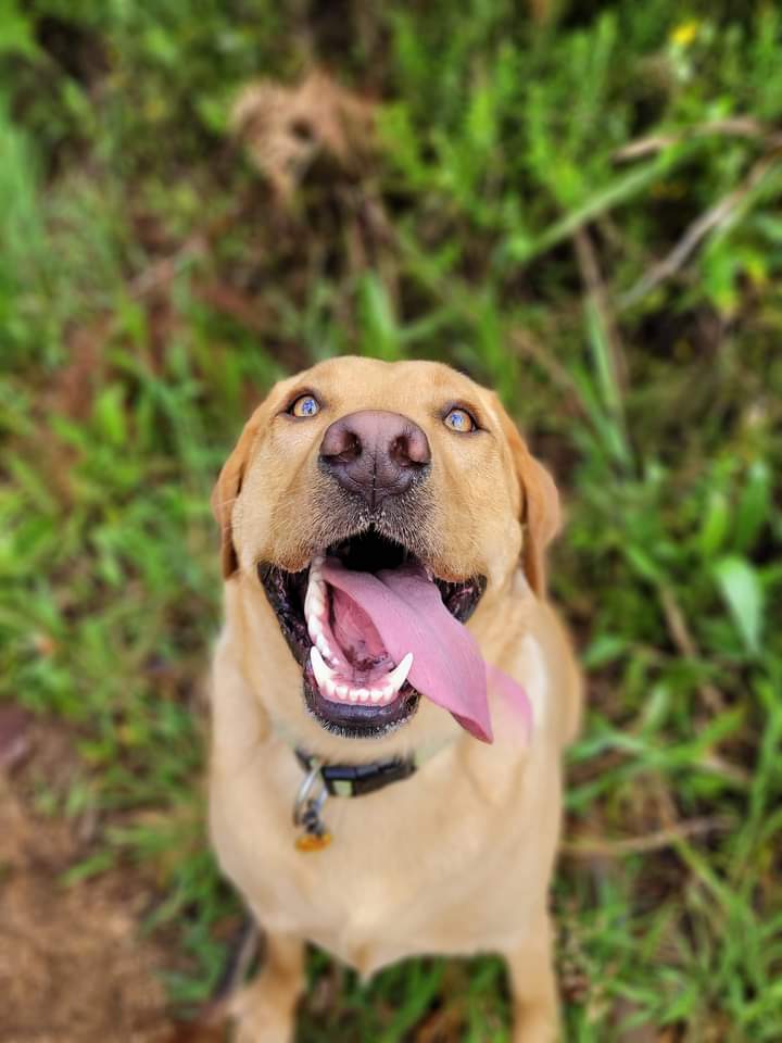 frwewrwe