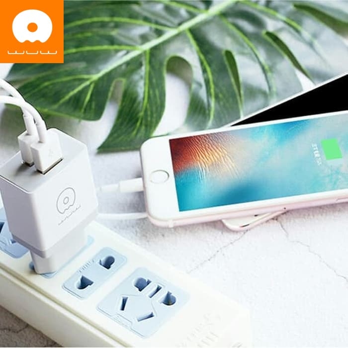 2-Port 2.1A Fast Charging Block