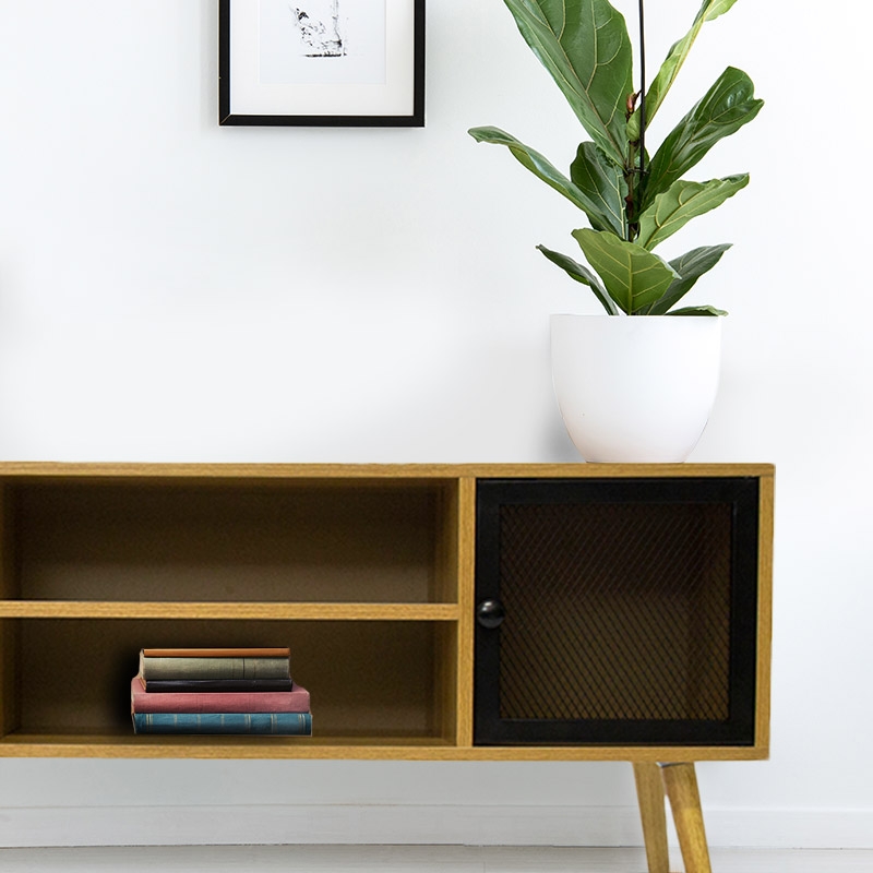 Modern 1 Door or 2 Door Revere TV Unit