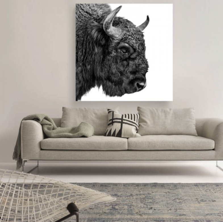 European Bison Canvas