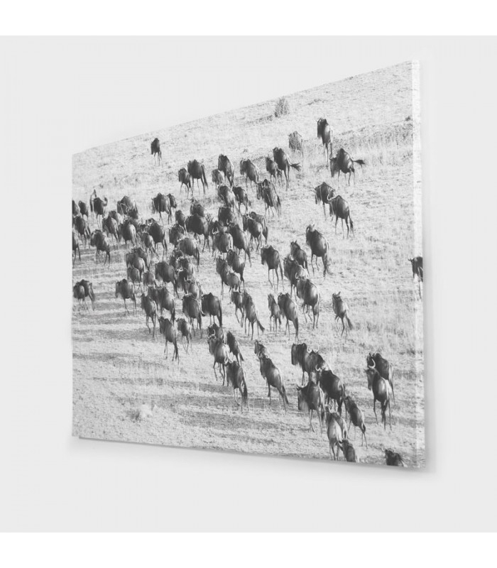 Product media
