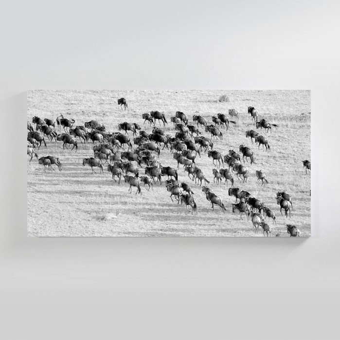 Great Migration Canvas