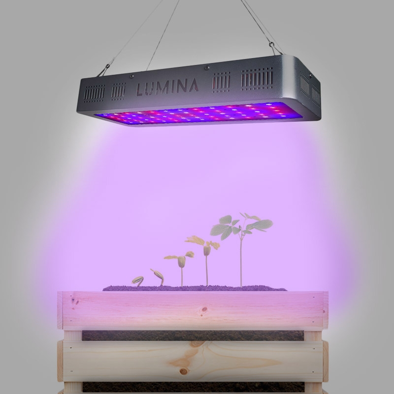 600W Double Switch Plant LED Grow Light