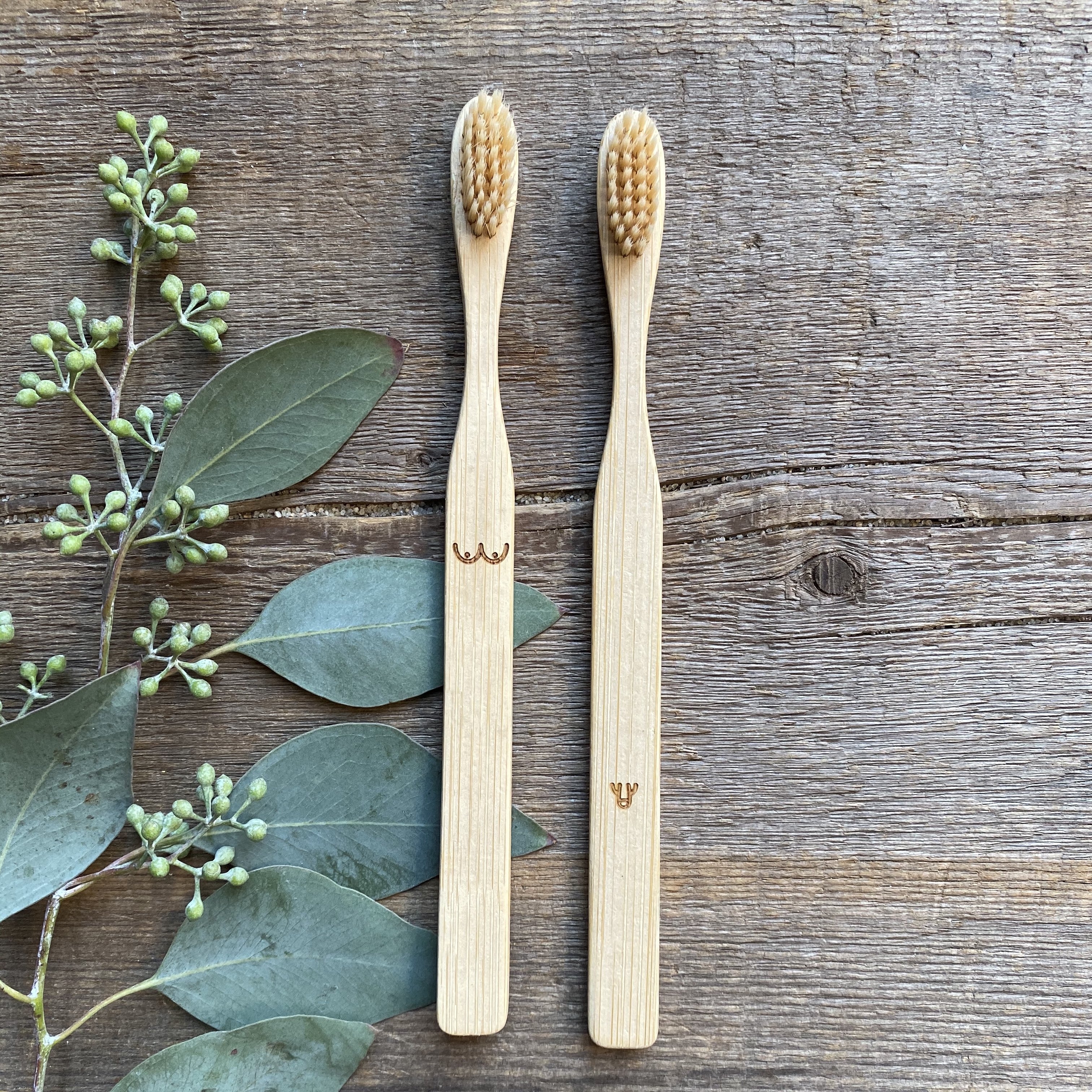 Nudie Bamboo Toothbrush Set