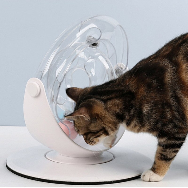360° Cat Space Ring Toy