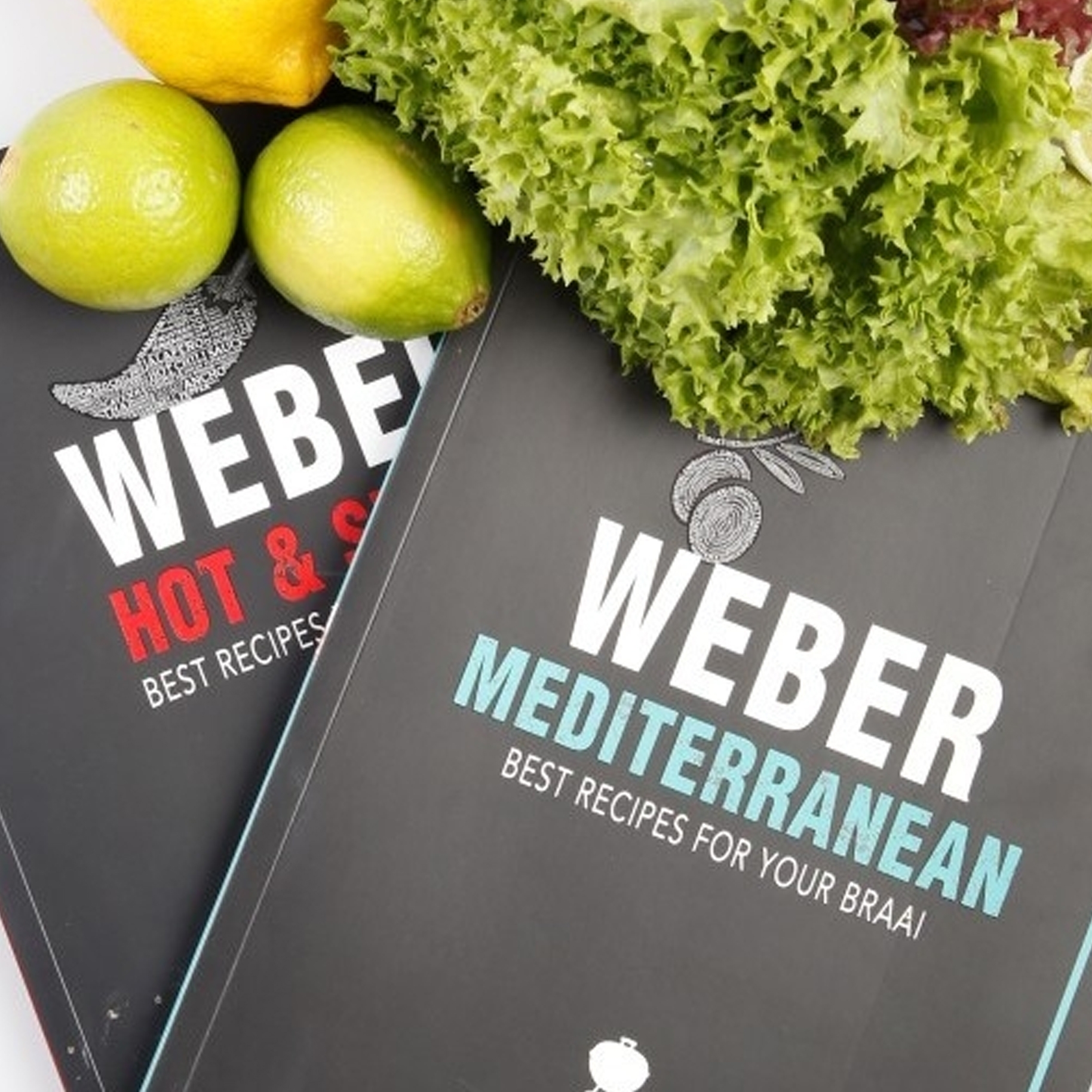 Set of 2 Weber South Africa Cook Books