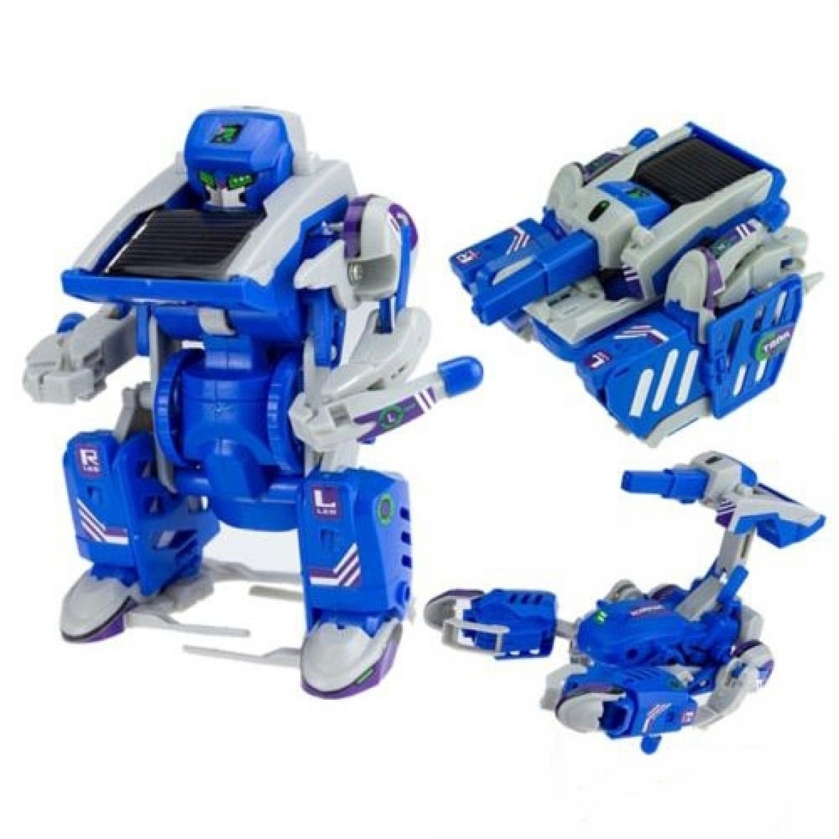 Solar Robot Cricket & 3-in-1 Solar Spider