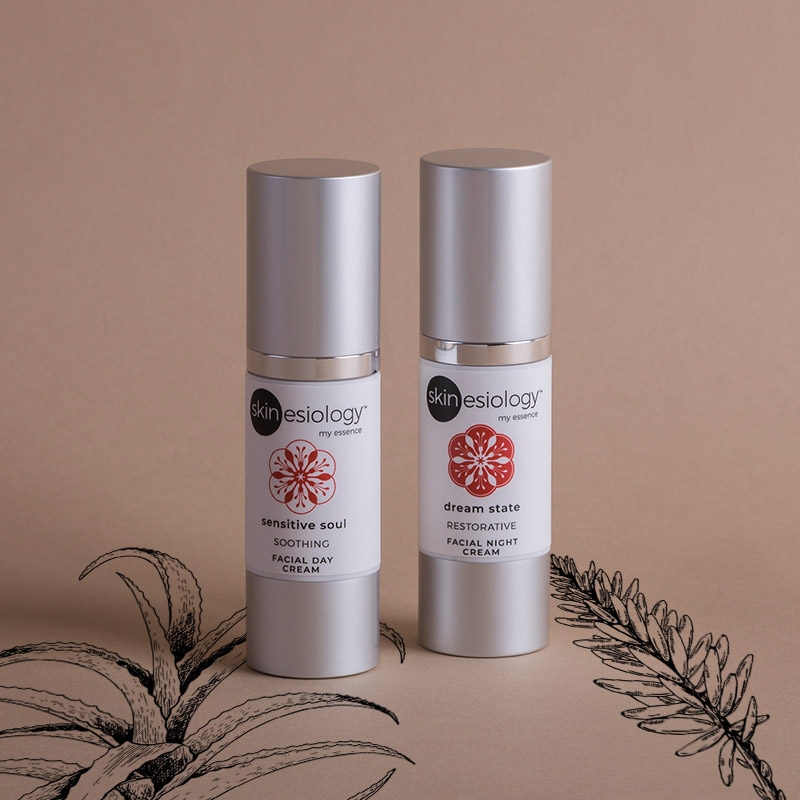 2 Piece Facial Bundle (Soul Day Cream and Dream State Night Cream)