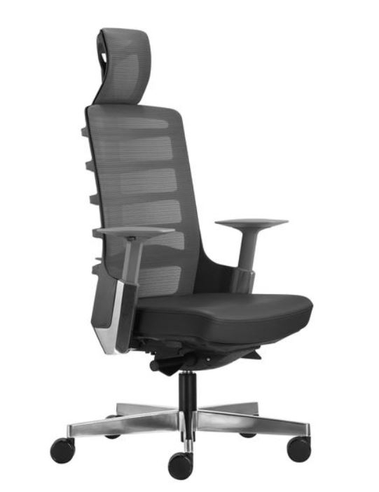 Spinelly Ergonomic Office Chair