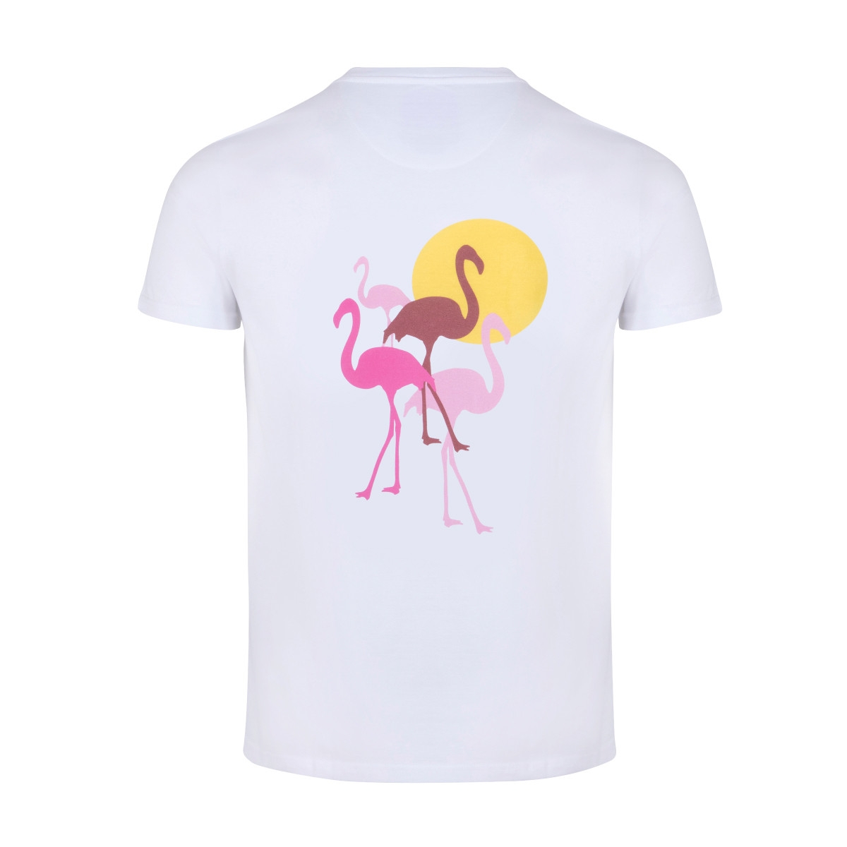 Flamingos
