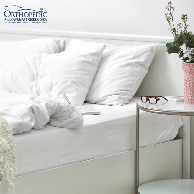 Set of 2 Granulated Latex Chipped Pillows