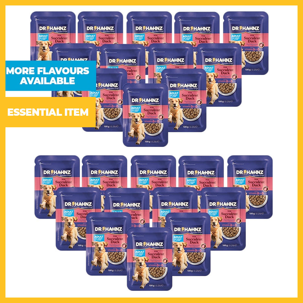 Pack of 24 Wet Dog Food Pouches (100g Each)