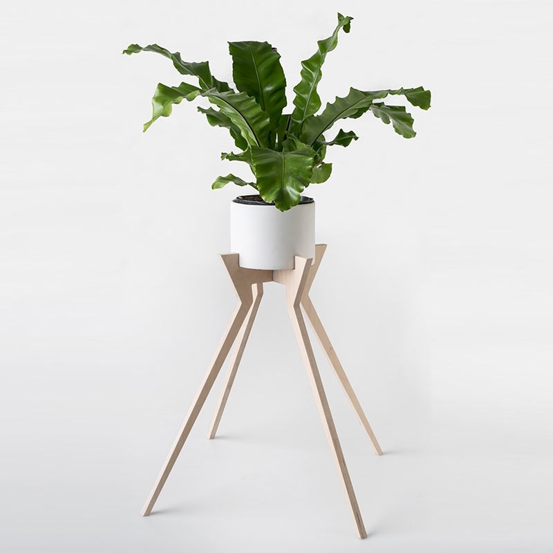 Xeno Pot Plant Holder (Ceramic Pot Included)