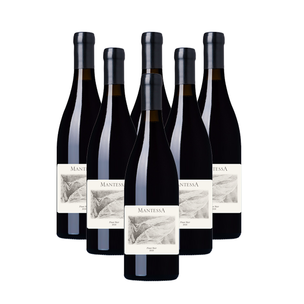 Elgin Pinot Noir Special Release Mixed Case (R199.83 Per Bottle, 6 Bottles)