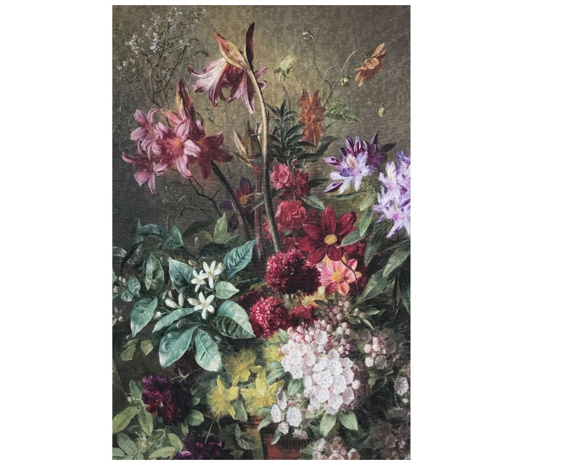 Belle Cerise Rug (200 x 290cm)