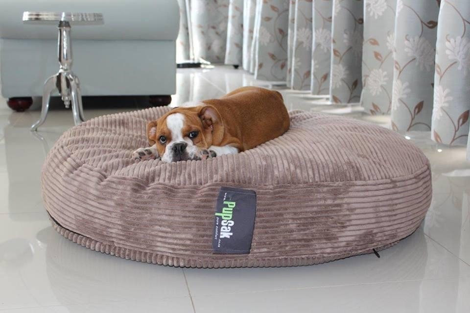 For reference purposes. Exact colour not available