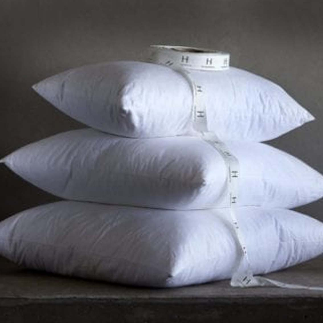 Pack of 2 Duck Feather & Down Cushion Inners
