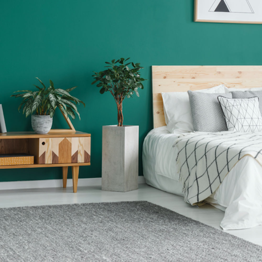 Luxurious Shaggy Rugs