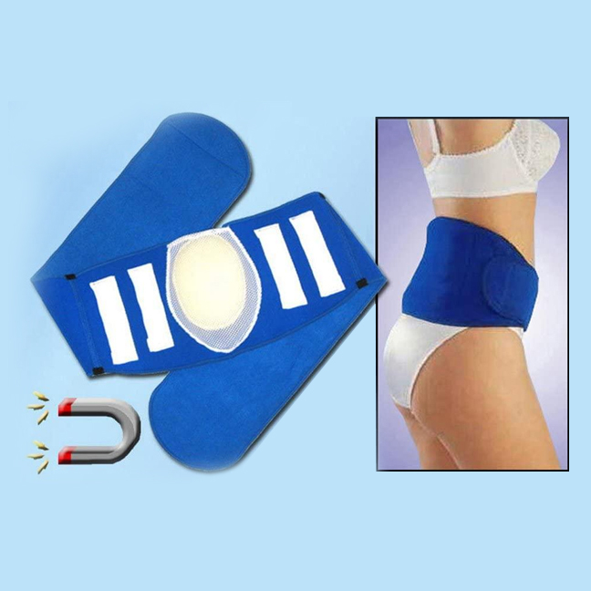 Cushioned Back Support Belt