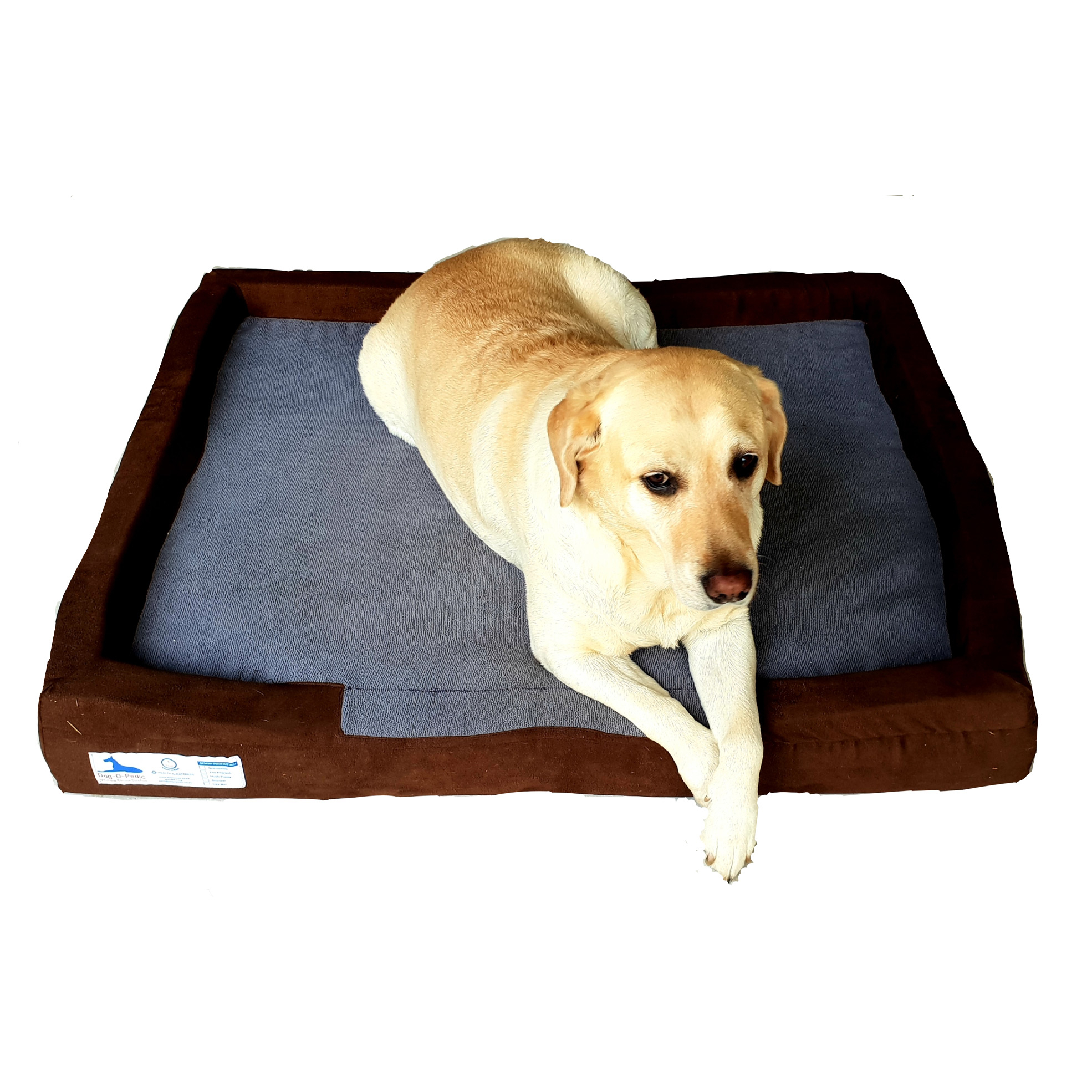 Memory Foam Throne Dog Mattress