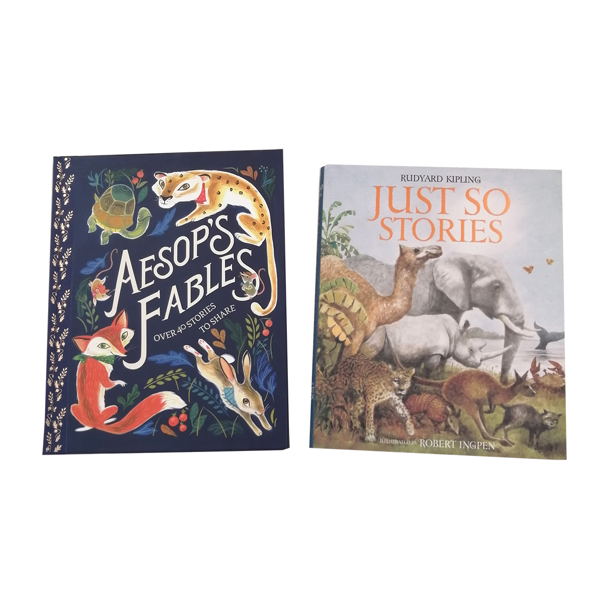 Set of 2 Illustrated Hardcover Books