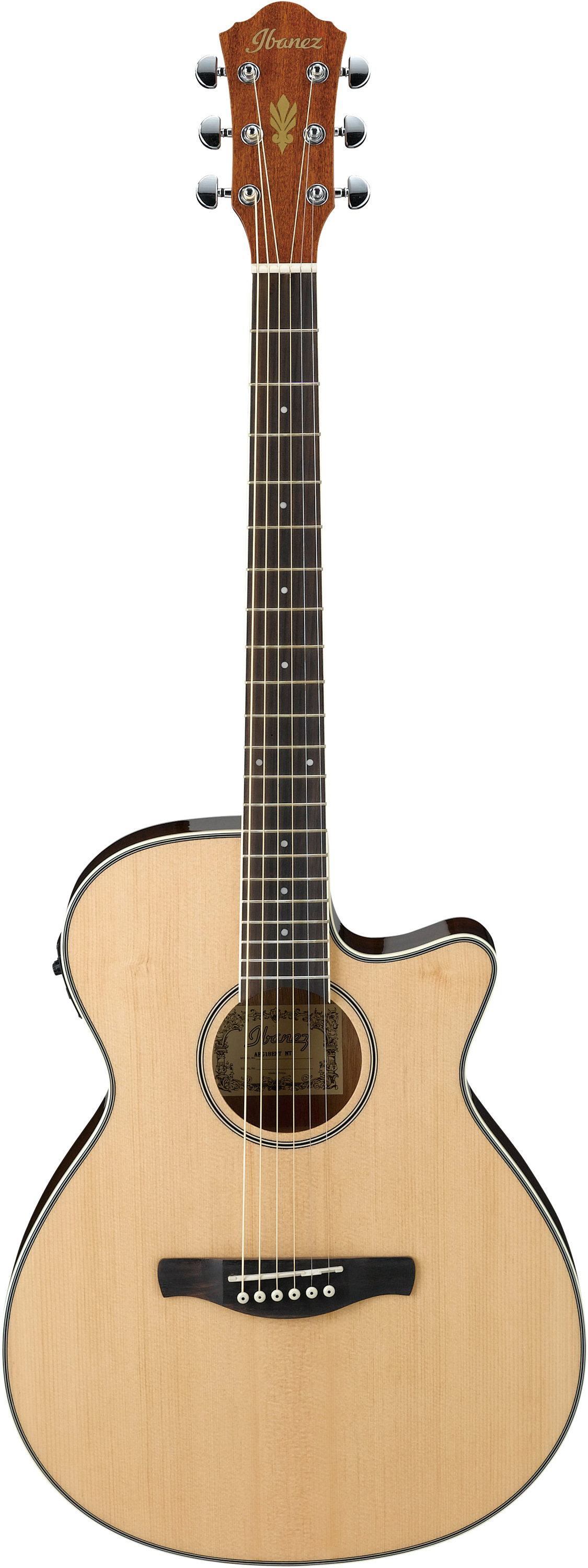 AEG8E Acoustic Guitar