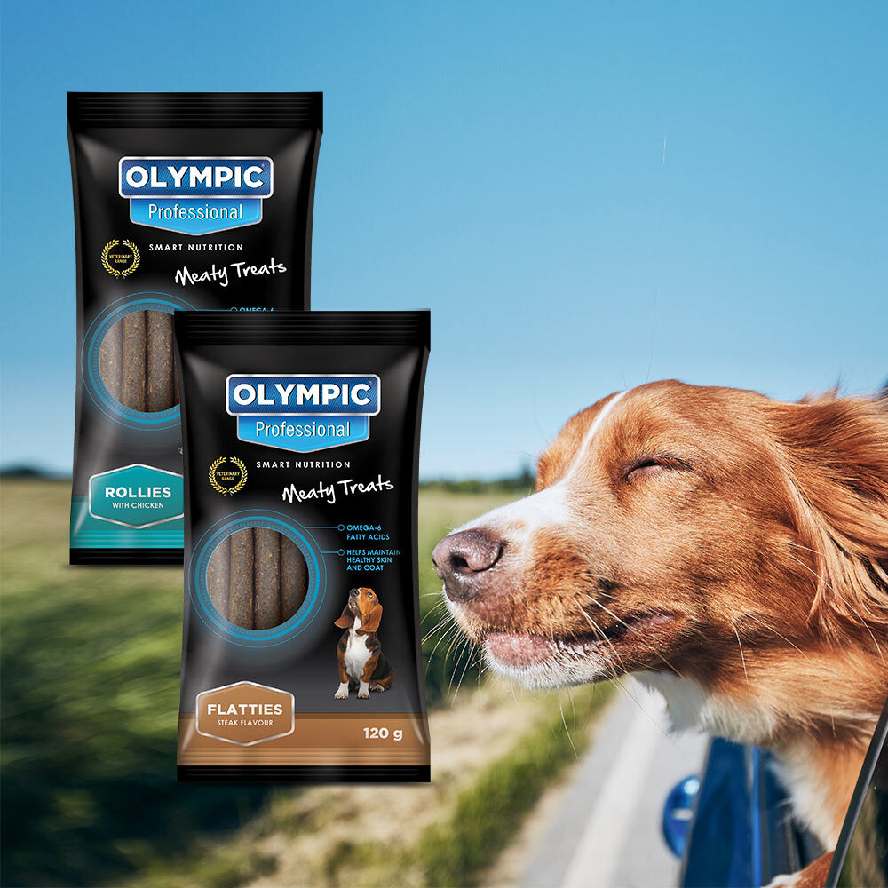 Pack of 20 Dog Treats