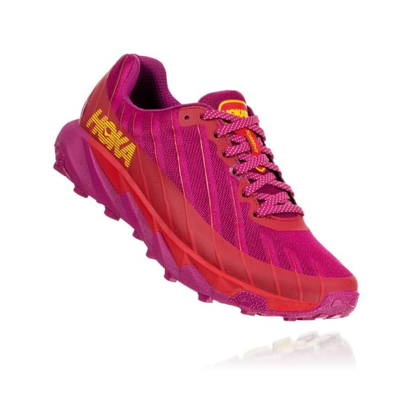 Cactus Flower / Poppy Red