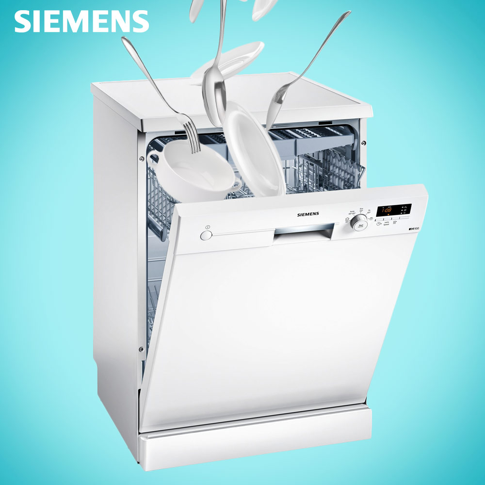 13 Place Freestanding Dishwasher (iQ100)
