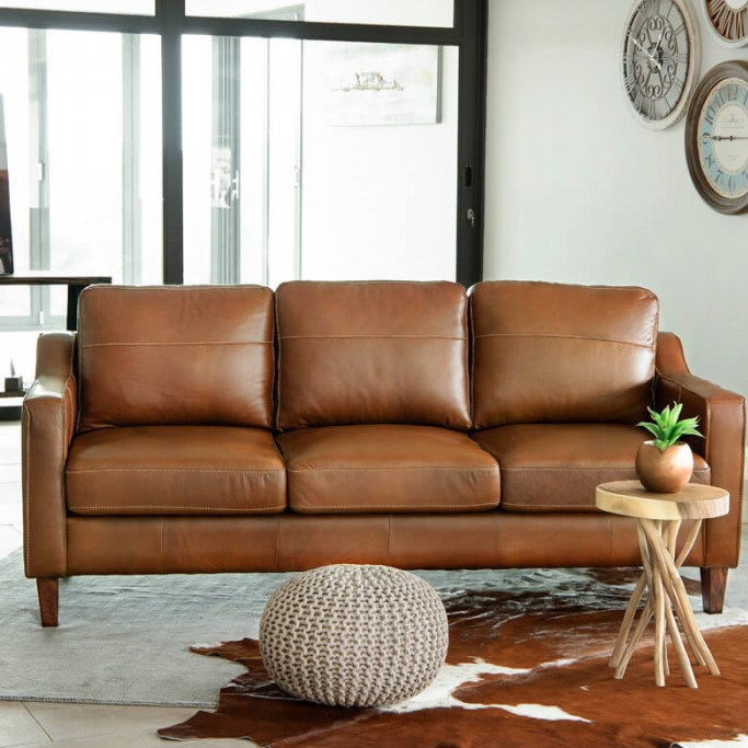 Light Brown Leather Couch
