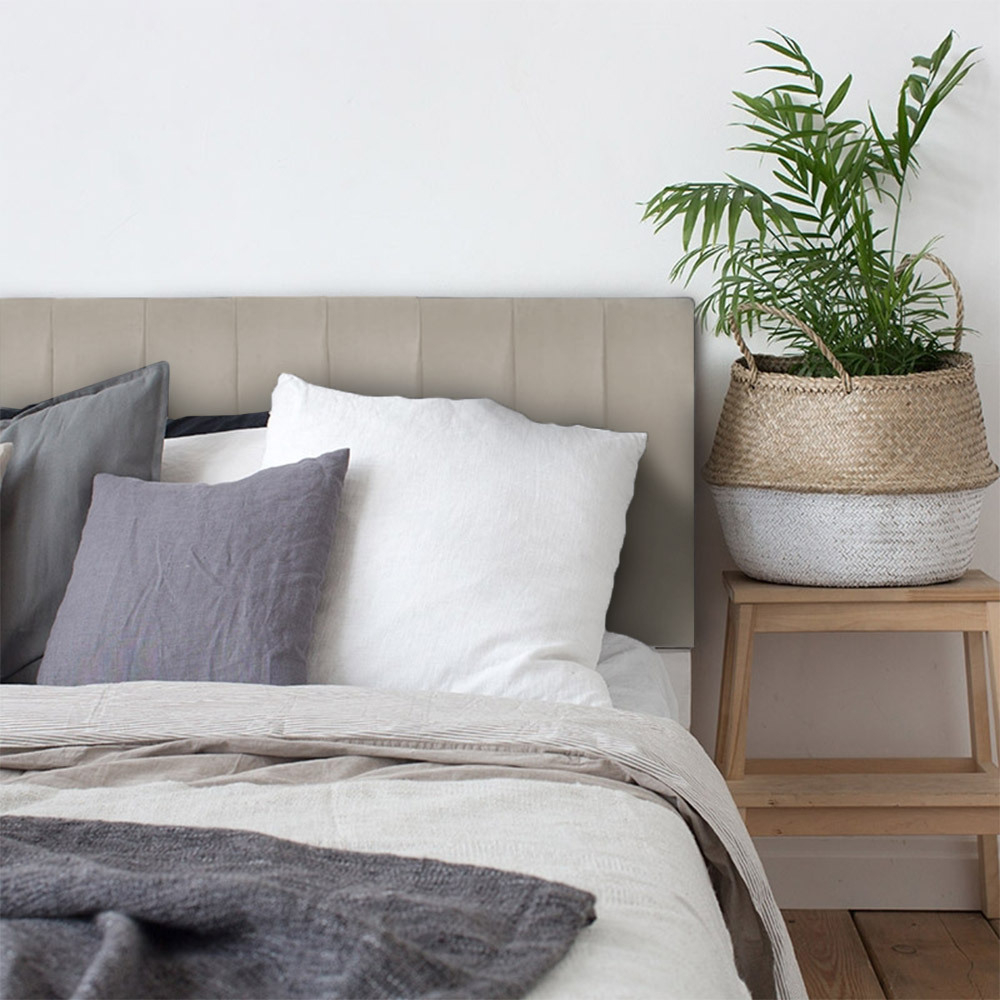 Lincoln Velvet - Cream