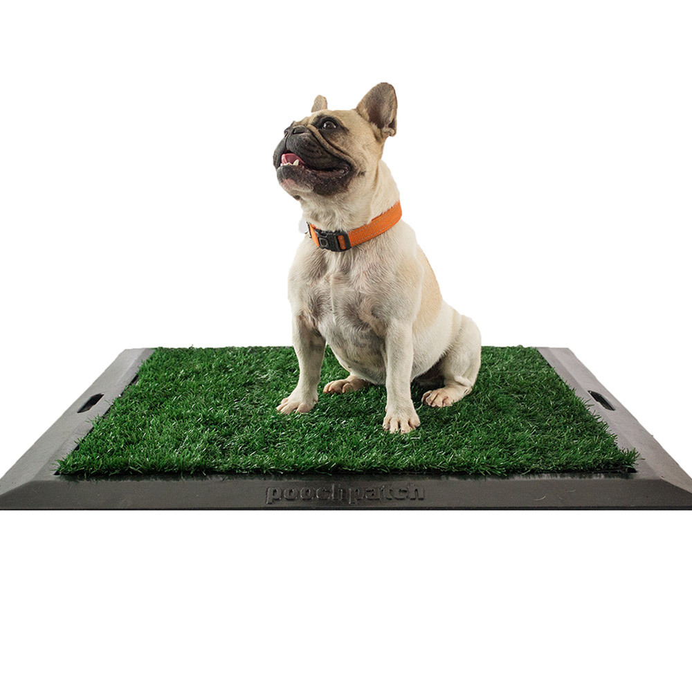 Pooch Patch Kit 2.0