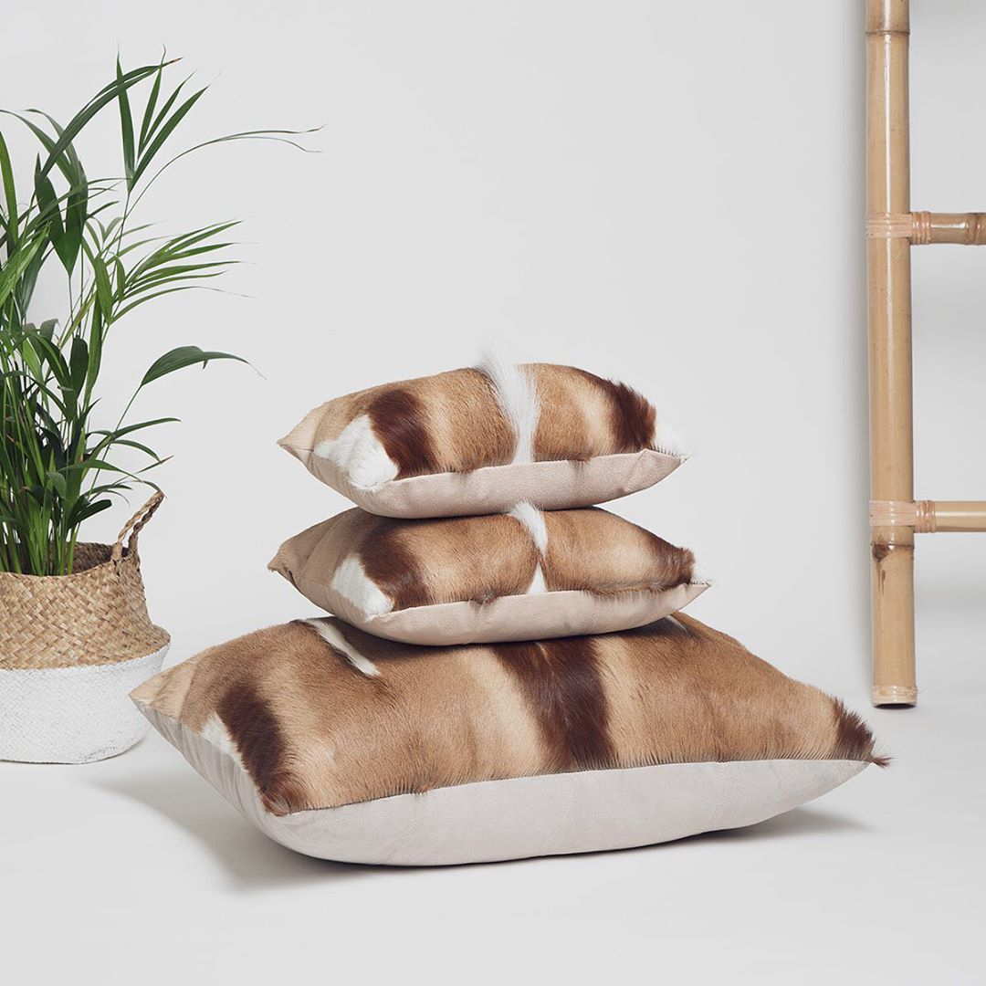 Natural Springbok Cushion Cover