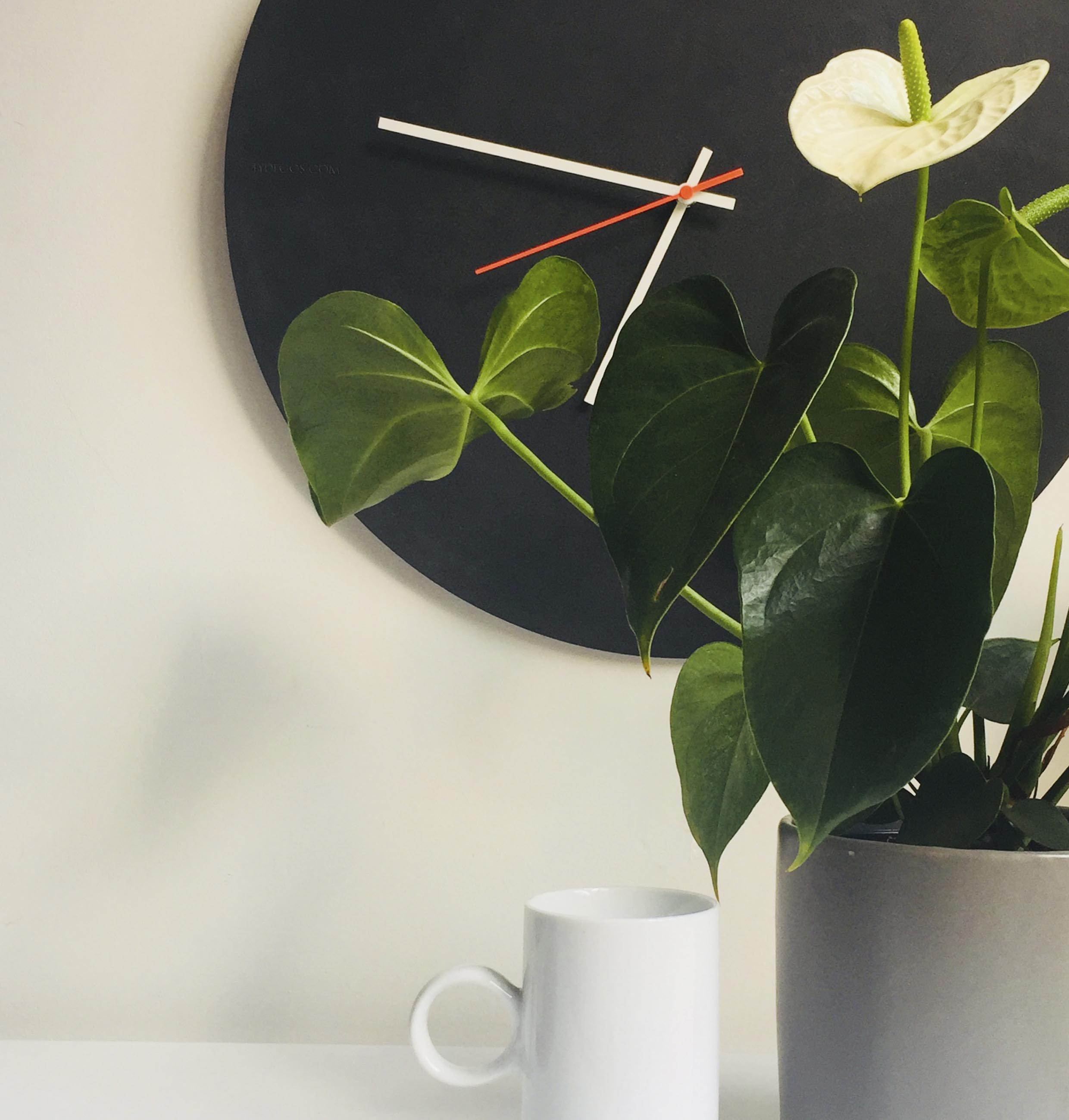 For reference purposes only (All hands are in white)