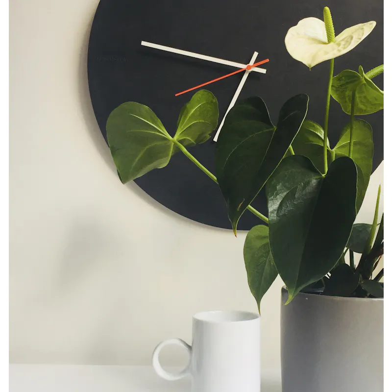 For reference purposes only (All hands are in white)