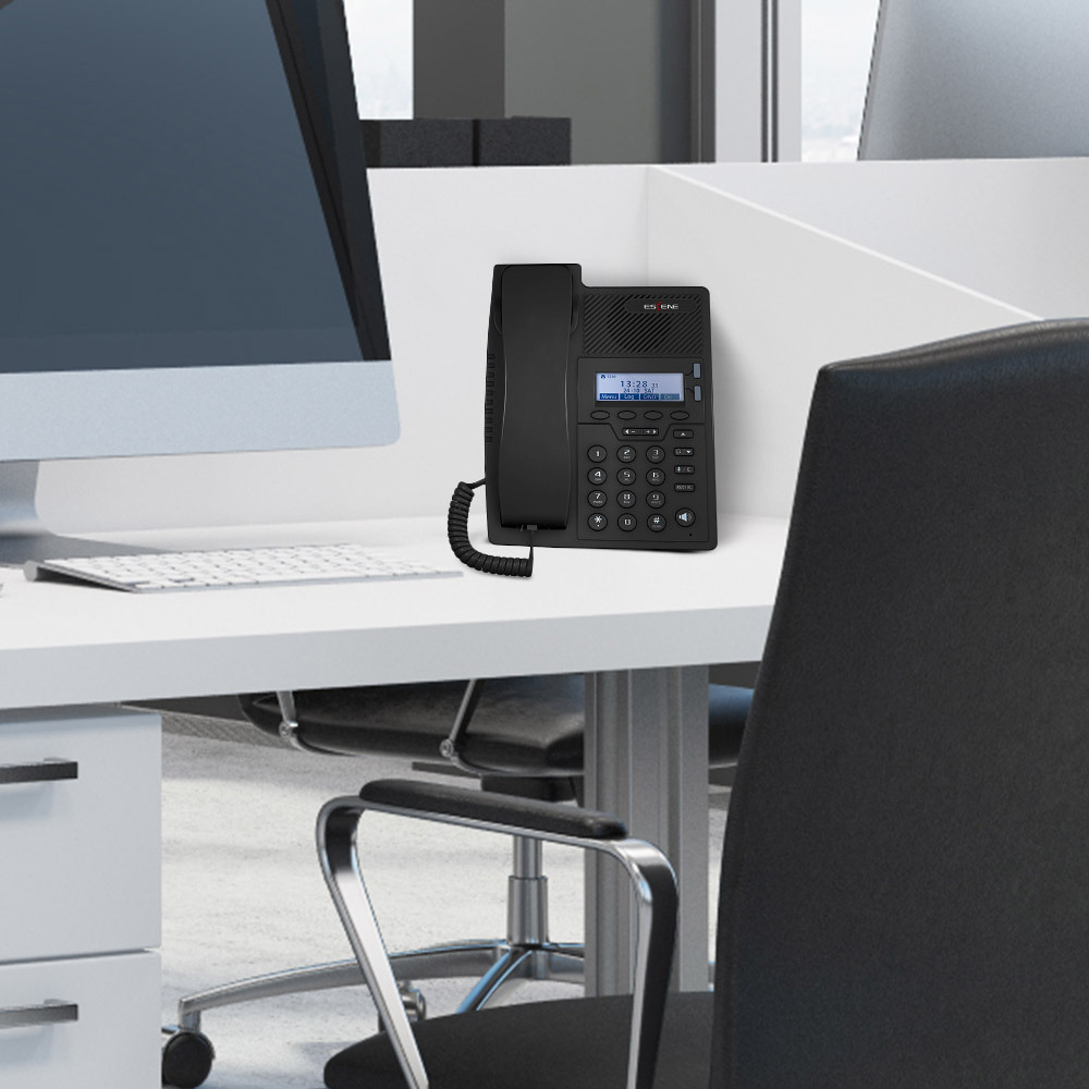 2-Line Professional IP Phone & Power Adapter
