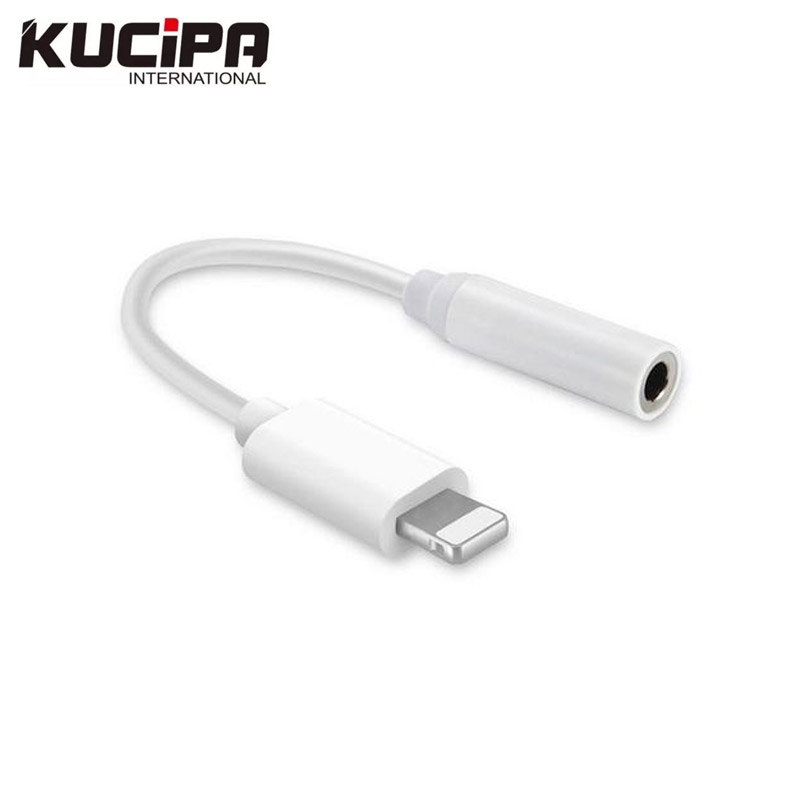 Lightning (iPhone) to 3.5mm Audio Aux Port (Charging Option)