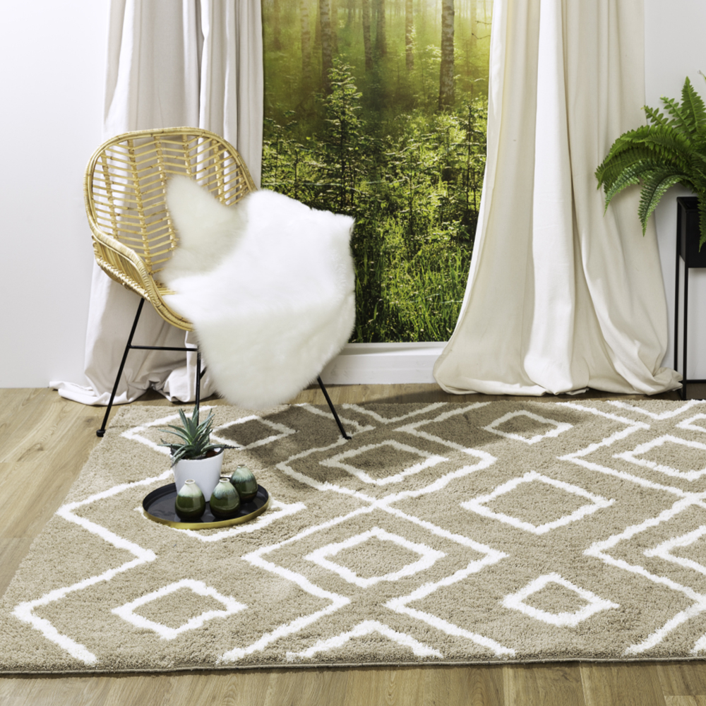 Blizz Collection Shaggy Rug
