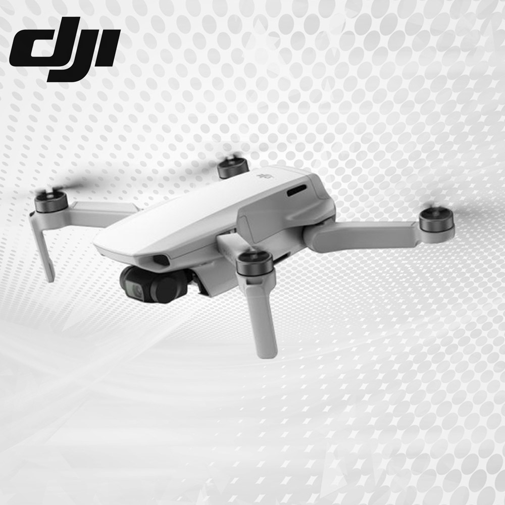 Mavic Mini Quadcopter Drone