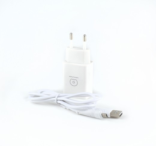 5V 2.1A Home Charger with Charging Cable (Lightning, Micro USB or Type C)