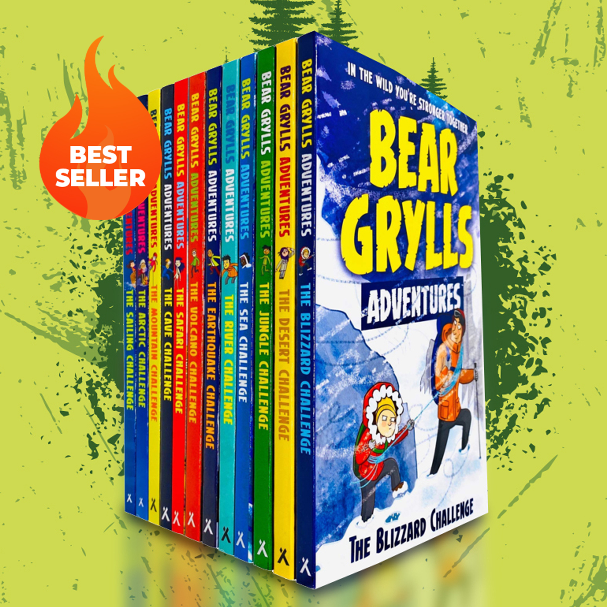 Paperback Box-Set Collection (12 Books)