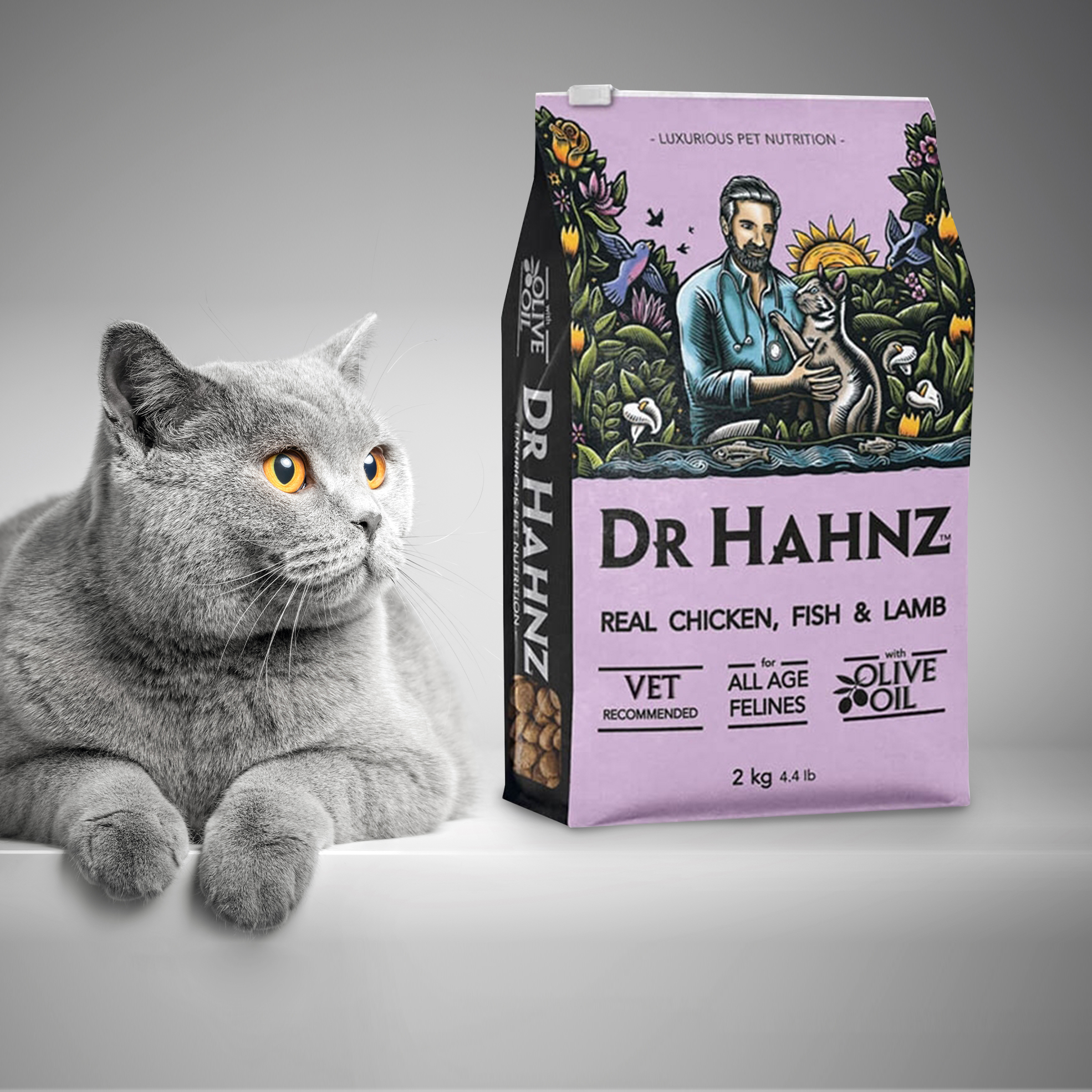 Pack of 6 Dry Cat Food (2kg Each)
