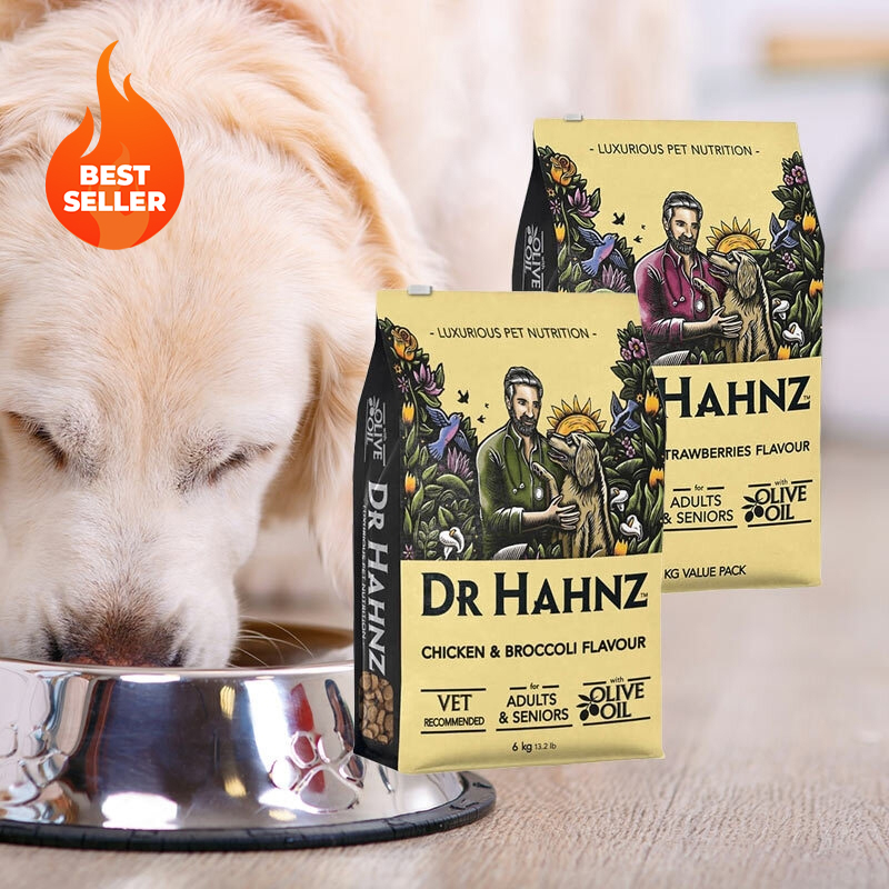 Adult & Seniors 6kg Dry Dog Food