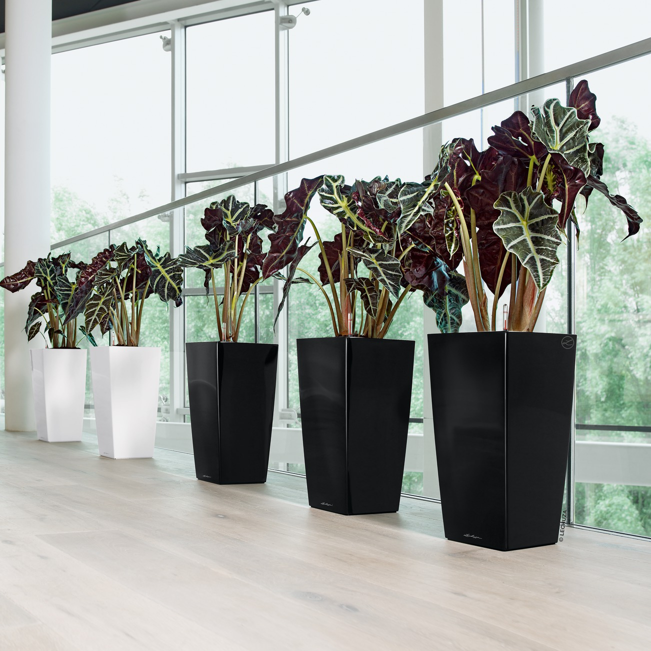 Cubico Contemporary Self-Watering Planter