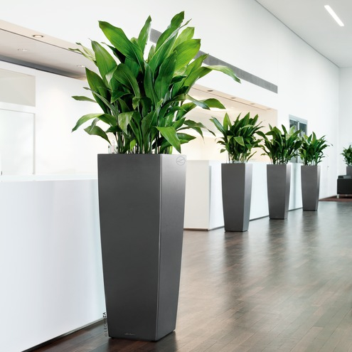 Cubico Alto Contemporary Self-Watering Planter