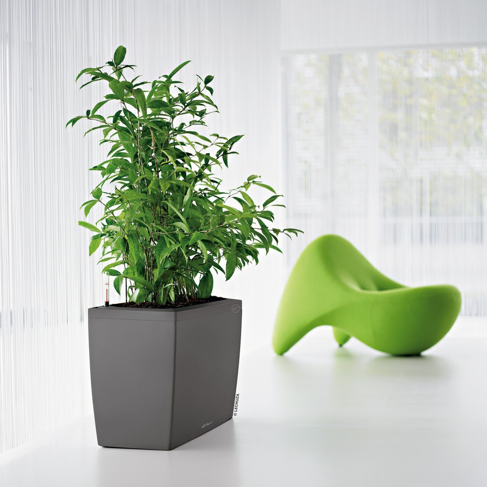 Cararo Contemporary Self-Watering Planter