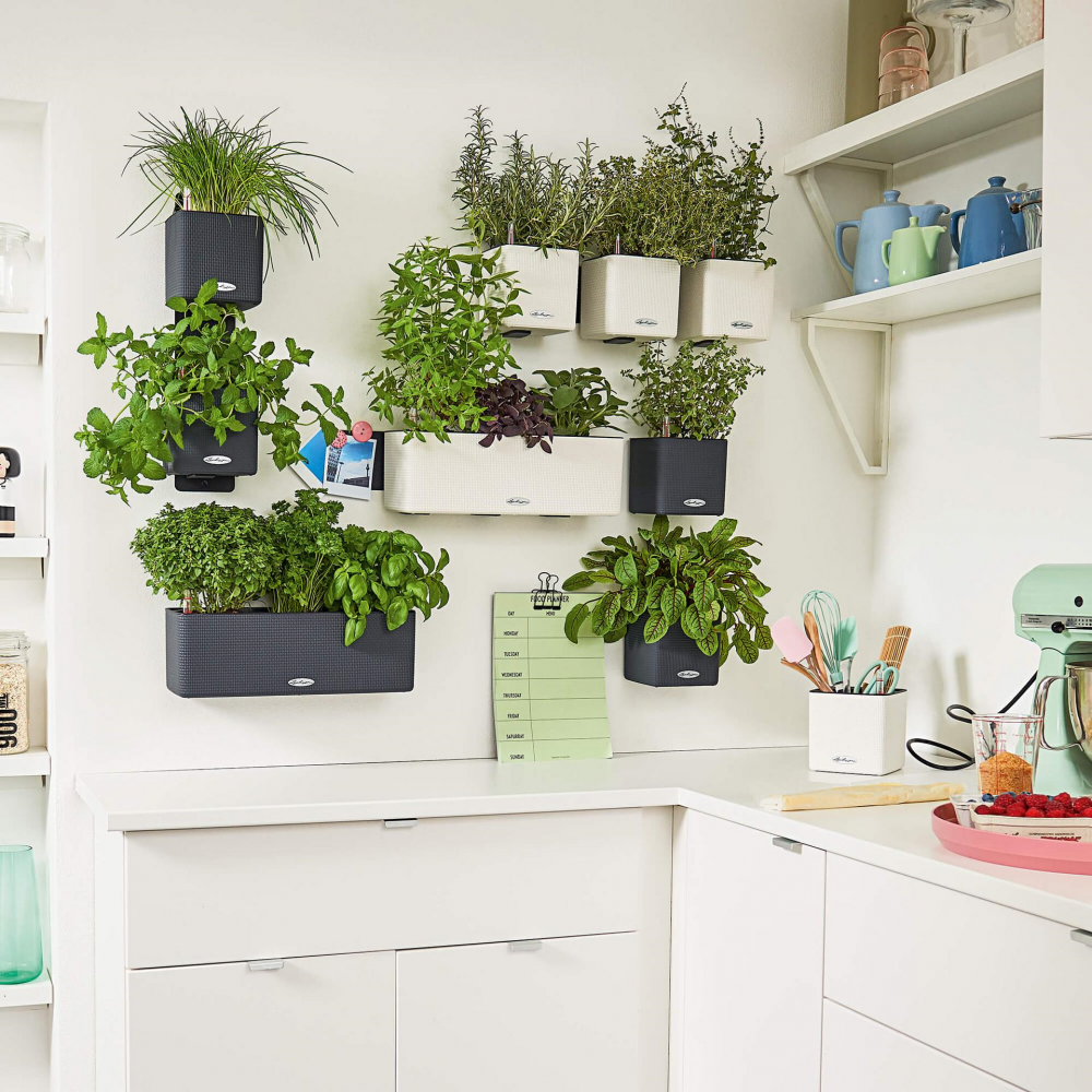 Glossy Green Wall Home Kit
