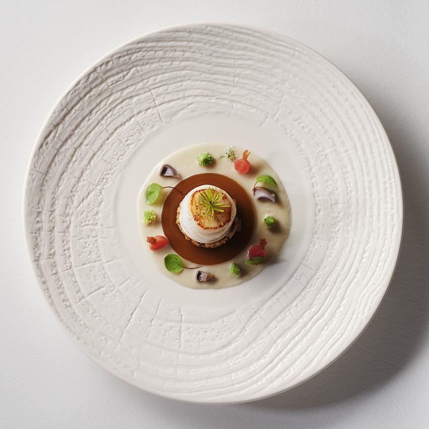 Set of 2 Arborescence Presentation Plates (31cm Each)